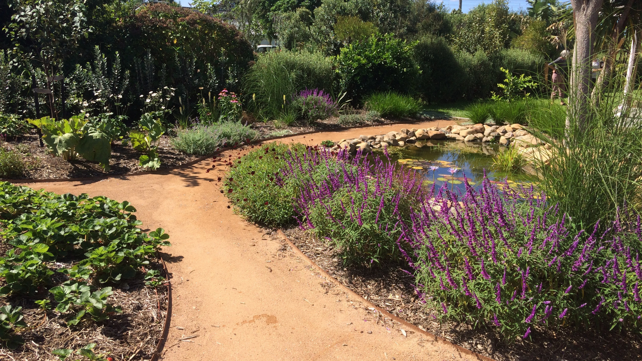 a beautiful garden with corten garden edging made to measure 