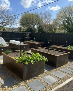 Incision Corten Steel Planters in a backyard with veges growing in them