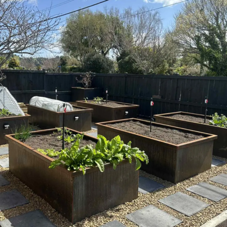 Incision Corten Steel Planters in a backyard with veges growing in them